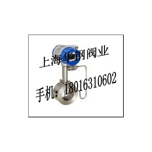 VFM 1091G 型科隆涡街流