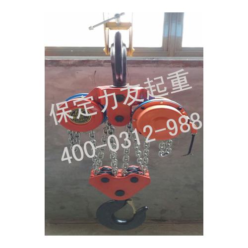 力友慢速环链葫芦10吨20吨30吨规格齐全同步电动葫芦价格优